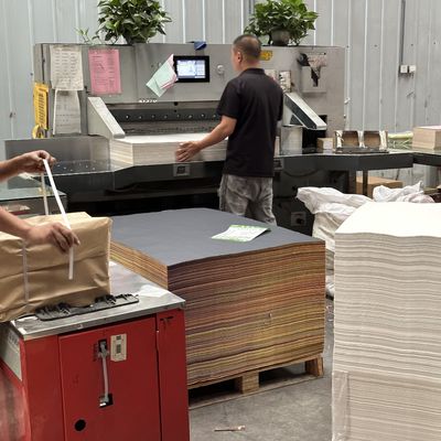 Kleurloos offset-printpapier met PE-coatingsmateriaal Opdracht op maat aanvaard