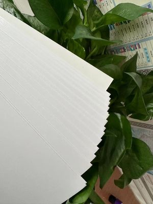 Gepersonaliseerd drukpapier 210/230/250/270/300gsm FBB/GC1/C1S