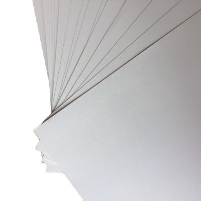 s Top Choice C2S Matte Art Card Paper Roll bedekt aan beide zijden voor een superieure afwerking