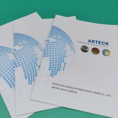 Chemical Pulp Certification C2s Art Card 100% Virgin Pulp Coated 2 SIide Paper In Roll