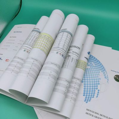 Chemical Pulp Certification C2s Art Card 100% Virgin Pulp Coated 2 SIide Paper In Roll