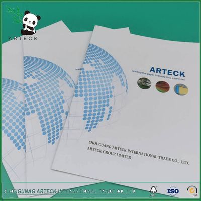 Chemical Pulp Certification C2s Art Card 100% Virgin Pulp Coated 2 SIide Paper In Roll