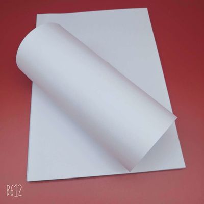 Virgin Pulp Style 58 gram wit houtvrij offsetpapier voor het drukken van boeken