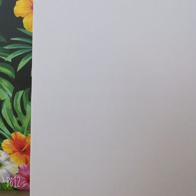 NINGBO FOLD C2S kunstkaart gemaakt van houtpulp kaolineet coating materiaal voor hoge glans