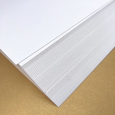 Offsetprinting Compatible Ningbo Fold Paper Board C1S Coated 190-400gsm FBB Ivory Board