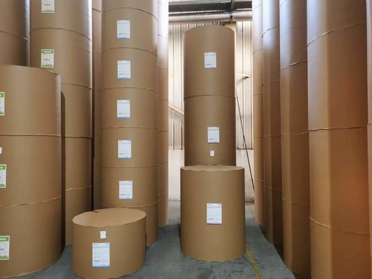 Offsetprinting Compatible Ningbo Fold Paper Board C1S Coated 190-400gsm FBB Ivory Board