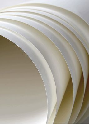 Witte C1S FBB Ivory Board GC1 210gm-400gm Eenszijdig bekleed papier voor broodjes Duurzaam