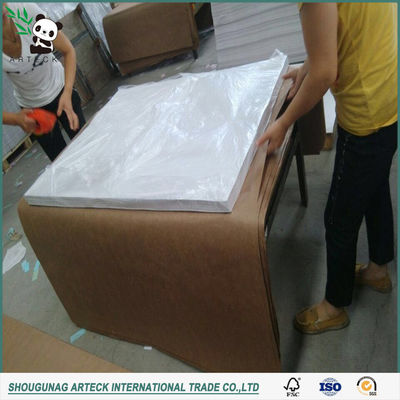 NCR Carbonless Continuous Computer Printing Paper 48g50g55g 100% originele houtpulp