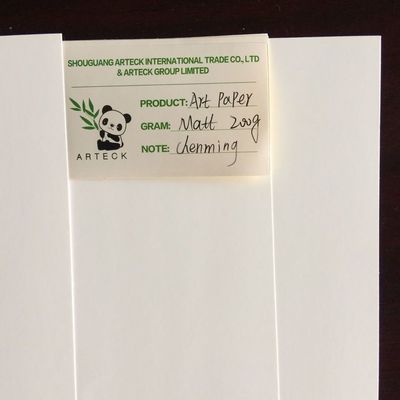Aanvaardt op maat gemaakte bestelling voor houtpulp witte bank jumbo roll grondstoffen papier C2s