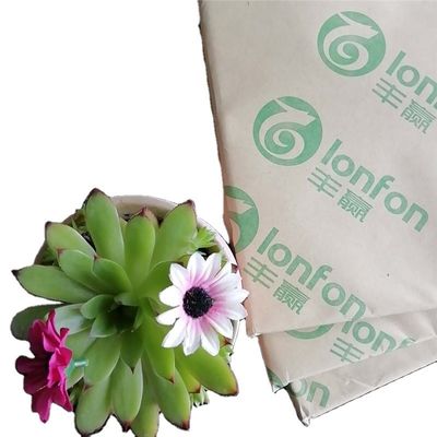 55G-120G Obligatiepapier voor afgedrukt afdrukken binnen anti-curl van LONFON/chenming/APP