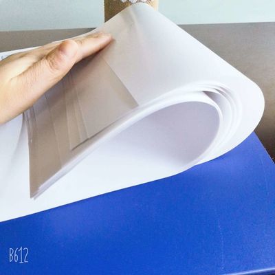 Dubbelzijdig gecoat Nevia kunstpapier in rollen/bladverpakking voor professionele resultaten