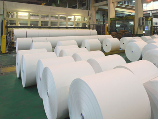 55-98 gm kweekpapier/ongecoat blad/wal