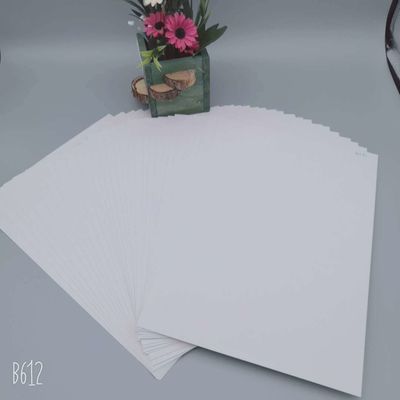 Zenith High Bulk C1S Coated Ningbo Fold FBB Ivory Board Ideaal voor geschenkverpakkingspapier