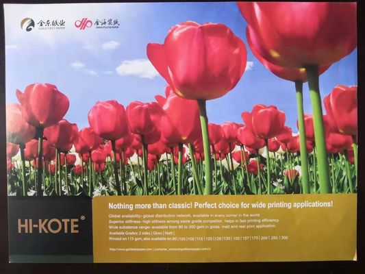 65-133 gm Bondpapier Hi-Kote C2S Gloss/Art bedekt papier van APP