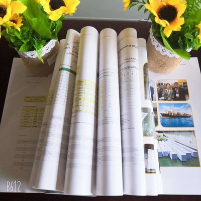 Dubbelzijdig gecoat 80-250 g/m kunstpapier in ream/roll pakket