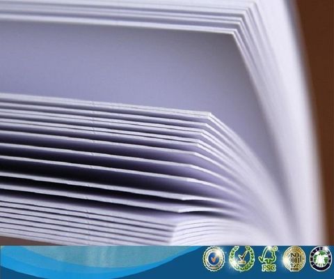 Chemisch-mechanische pulp FBB/Fold C1S Folding BOX BOARD/Ivory Board voor vochtbestendig gebruik