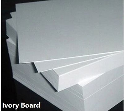 Chemisch-mechanische pulp FBB/Fold C1S Folding BOX BOARD/Ivory Board voor vochtbestendig gebruik