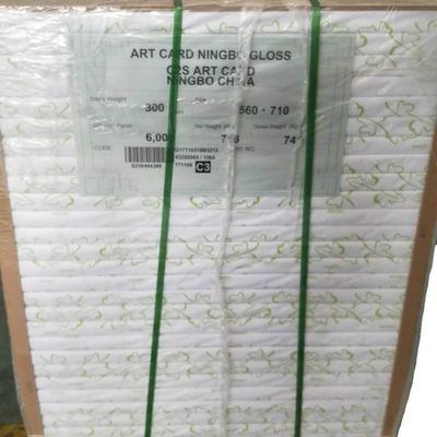 Houtpulp FBB Ivory Board van Ningbo Fold accepteert een bestelling op maat en is aanpasbaar